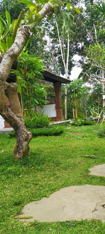 Apartmán Tangkas House Tampaksiring Exteriér fotografie